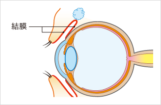 結膜
